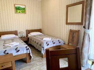 Мини-отель Mini hotel Solnce Karpat Поляна Двухместный номер с 2 отдельными кроватями и видом на горы-2